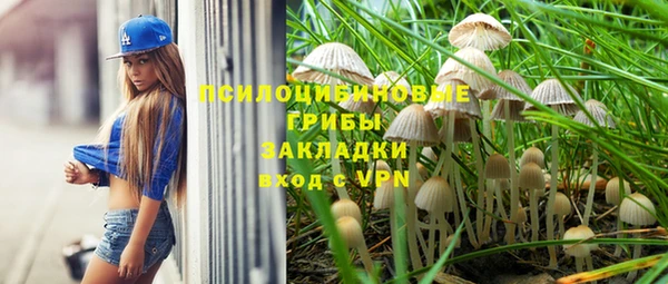 PSILOCYBIN Володарск