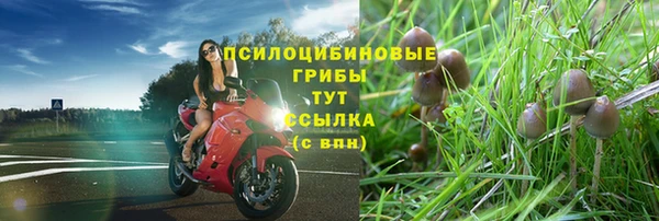 прущая мука Лабытнанги