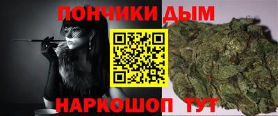 ALPHA PVP Гай