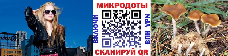 Псилоцибиновые грибы Cubensis  цена   Ялта 