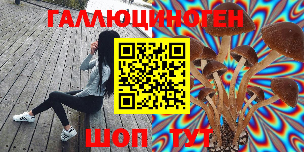 Псилоцибиновые грибы Psilocybine cubensis  Вход с VPN  Ялта 