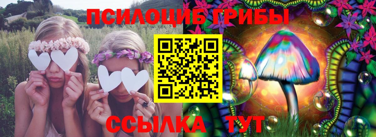 Галлюциногенные грибы GOLDEN TEACHER Ялта