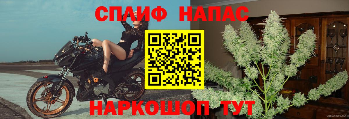 Бошки Шишки план Ялта